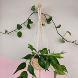 Suporte Macrame Para Vasos, Suporte Suspenso,plant Hanger 