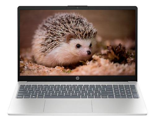 Laptop Hp 15-fc13 Ryzen 3 / 8gb Ram + 256 Ssd / 1080p Fhd