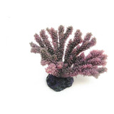 Enfeite Para Aquario Coral Acropora Porites Roxa E Vinho