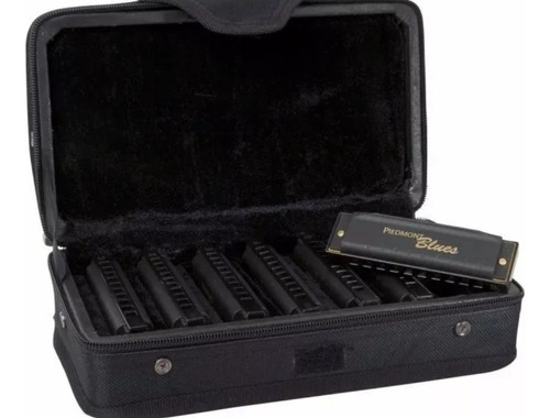 Set De 7 Armónicas Kit Piedmont Blues Hohner 7 Pbh7 7 Tonos