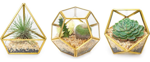 Set De 3 Mini Terrarios Geometricos De Cristal, Macetas