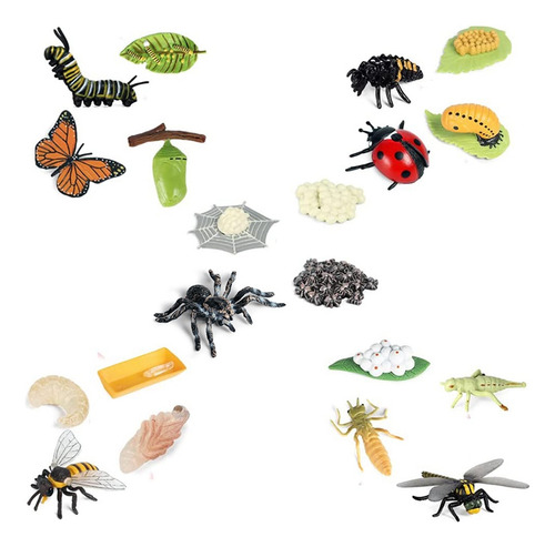 Butterfly Spider Bee Ladybug Life Cycle Figurines