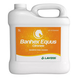 Shampoo Para Cavalo Banhex Equus Citronela 5l Lavizoo