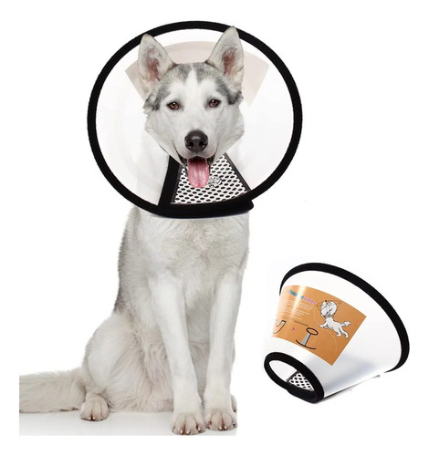 Collar Collarin Mascota Perro Cuello Isabelino Talla 6