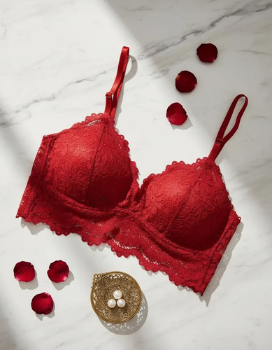 Brasier Tipo Sin Aro Encaje Sujetador Top Para Mujer