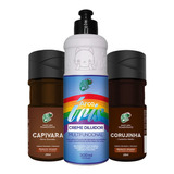 Kit Capivara + Corujinha + Diluidor 300ml - Kamaleão Color