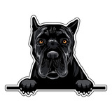 Imán Para Nevera Wickedgoodz Black Cane Corso, Raza De Perro