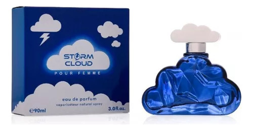 Perfume Storm Cloud Pour Femme 90ml Edp - Vf