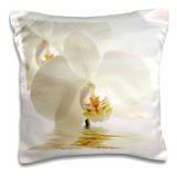 Fundas De Almohada 3d Con Diseño De Orquídea Blanca Y Rosa E