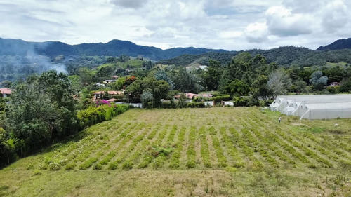Lote Comercial 20.230m2 En La Ceja - Antioquia - Invernaderos Cultivos - Imagen 2