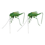 2 Adornos Para Nevera Viv [u], Diseño Realista De Insectos C
