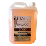 Shampoo Han Aceite De Coco Hidronutritivo Anti Frizz X 5 Lts