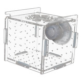 Caja De Cría De Peces, Caja De Incubadora Para 6cmx6cmx6cm