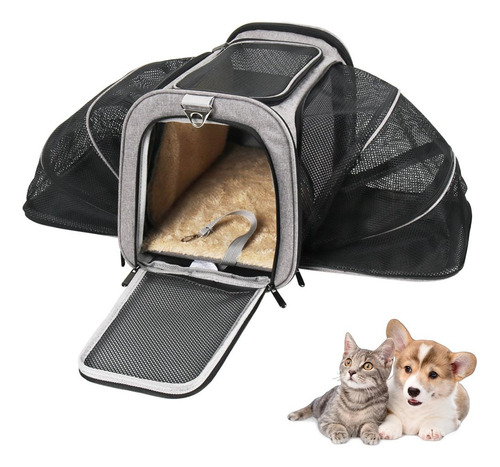 Bolsa Transporte Pet Expansível Viagem Cabine Avião Cachorros E Gatos Cor Cinza