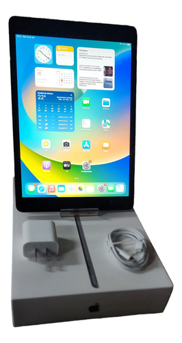 Tablet iPad 9 Apple A2602 Wifi 256gb Gris 10.2 