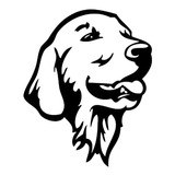 Sticker Para Auto Calcamonia  Perro Labrador Retrieve