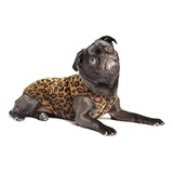 Suéter Elástico De Lana Para Perro Talla 2 Diseño Leopardo 