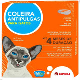 Pulgas En Gatos Medicamentos Coleira Antipulgas Bullcat