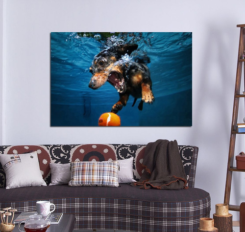 Cuadro Canvas Perro Bajo El Agua Dog Pileta Pet Shop M9