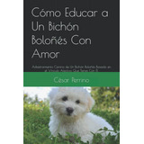 Como Educar A Un Bichon Boloñes Con Amor: Adiestramiento Can