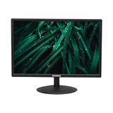 Monitor Led 19 Polegadas Hdmi/vga/vesa Preto Imagem Hd