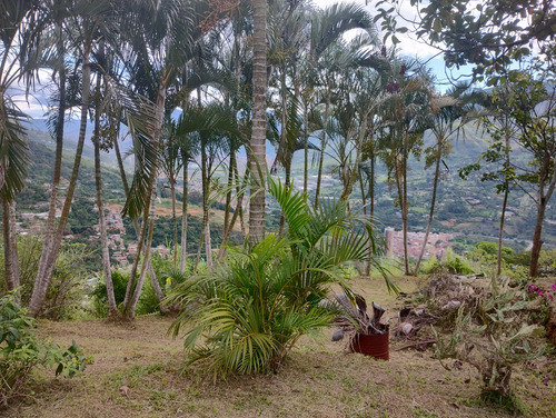 Venta De Finca En Copacabana - Imagen 4