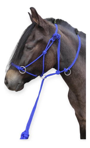 Jaquimon Corrector, Horse Halter Cabezal Caballos Sierra 