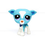 Littlest Pet Shop Lps Hasbro - Greyhound Cachorro Azul Claro