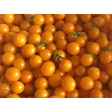 Semillas De Tomate Grosella Naranjo Orgánicas