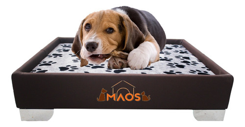 Cama Para Perros Y Gatos Acolchada Patas En Acero Inoxidable