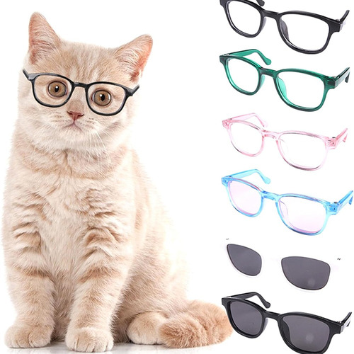 Gafas Para Mascota Pequeña Gato