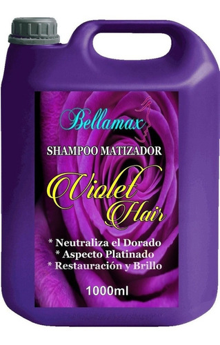Bidón Shampoo Matizador Violet Hair Profesional 5 Litros