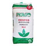 Semilla Césped Ryegrass Perenne Nui X 25kg Resiembra Picasso