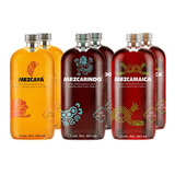 Mezcajita Mix 463 Ml. Bebida A Base De Mezcal, 6 Boltellas