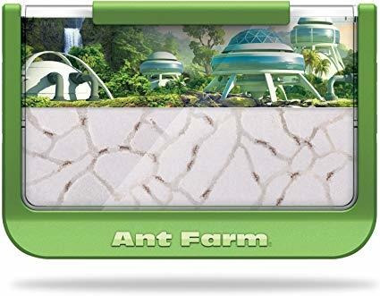 Uncle Milton Ant Farm Antopia Rainforest Ant Habitat - Obser