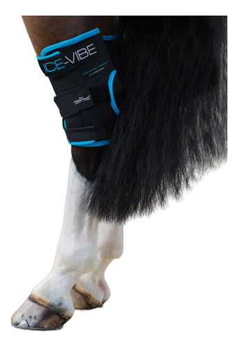  Ice Vibe Hock Wrap Con Vibracion Para Patas De Caballo