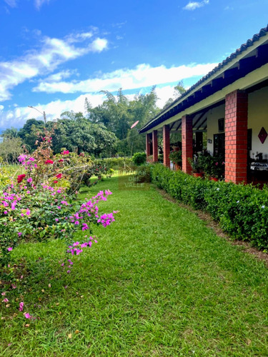 El Carmen, 6.300 M2, Finca En Venta - Imagen 4