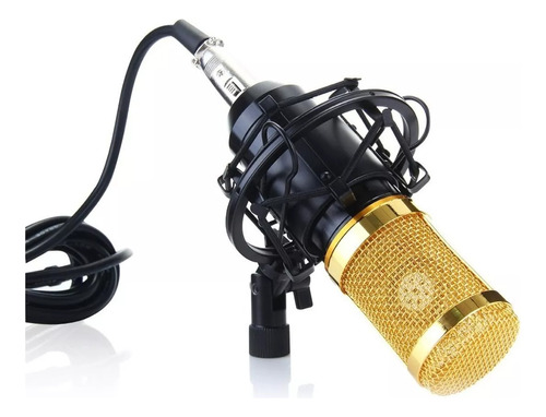 Microfono Profesionalcon Brazo Plegable Y Filtro Condenser