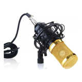 Microfono Profesionalcon Brazo Plegable Y Filtro Condenser