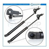 2x Front Hood Lift Supports Gas Struts Shocks For Toyot Ecc1