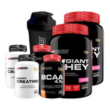 Combo 2x Whey Protein + 2x Bcaa + 2x Creatina + Coqueteleira