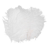 10pcs Plumas De Avestruz Blancas 6.7-9 'para Bodas, Trajes