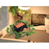 Petwakey-st Caja De Escondite De Reptiles, Humidificador De