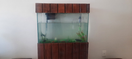 Aquario Completo  + Termostato +  Bomba De Ar E Decoração 