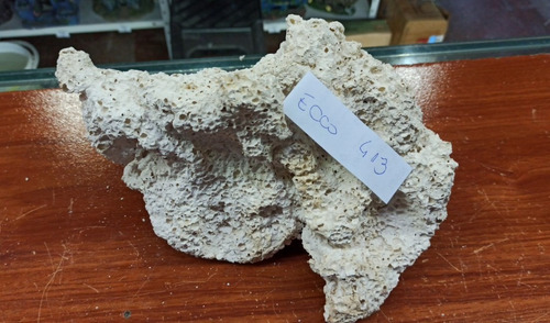 Roca Artificial Ecco Rock Coral Deco Reef Africano Delnonno