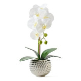 Orquídeas Artificiales Con Maceta Plateada Para Decoración D