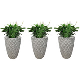 Kit 3 Vasos Diamante 3d Plantas Casa Jardim Luxo Premium N2