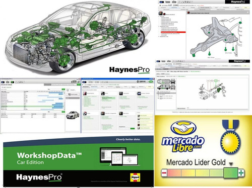 Haynes Pro Workshop Data 2015 Servidor (link)