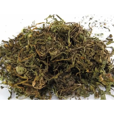 Diente De León 1 Kg Té Orgánico Productos Tenango | Meses sin interés