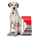 Excellent Perro Adulto Skin Care Cordero X 15kg Envío.t.pais